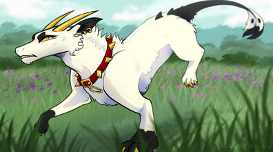 Fullbody + BG
